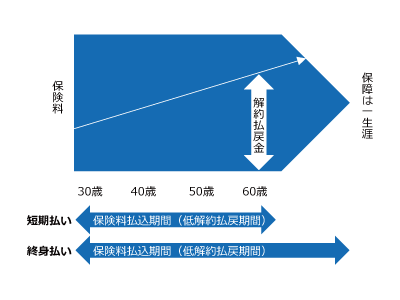 終身がん保険　イラスト